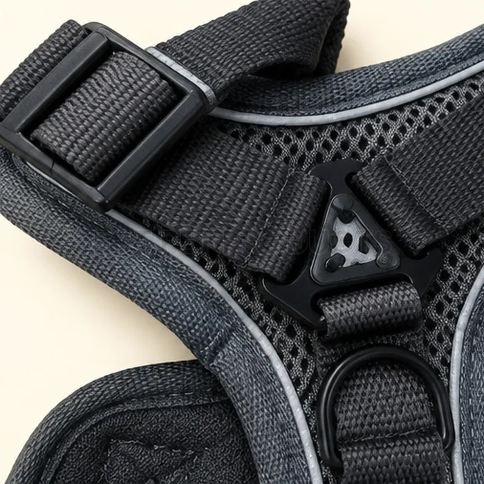 Grey Padded Pet Harness with Leash — photo 3