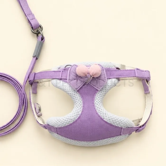 Pet Harness with Leash (1.5 cm Strap) — photo 2
