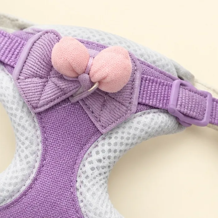 Pet Harness with Leash (1.5 cm Strap) — photo 3